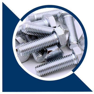 317 SS Bolts