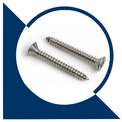 Self Tapping Screws Manufacturers In India