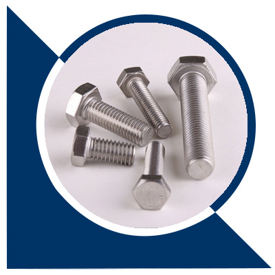 SS 304 Hex Bolts
