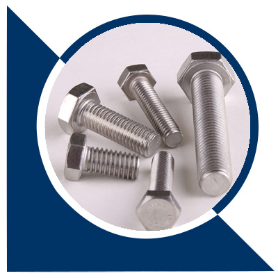 Gr.5 Ti Hex Bolts